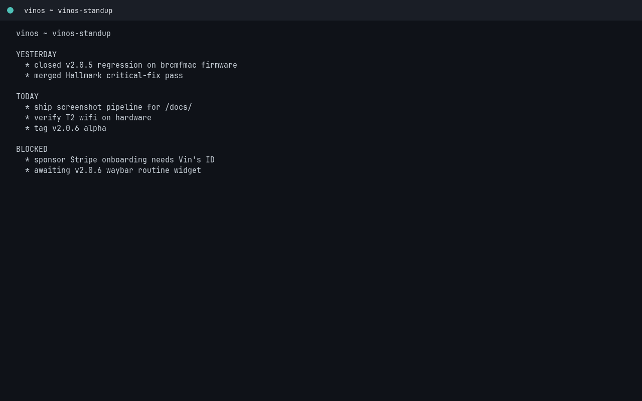 vinos-standup output in a foot terminal